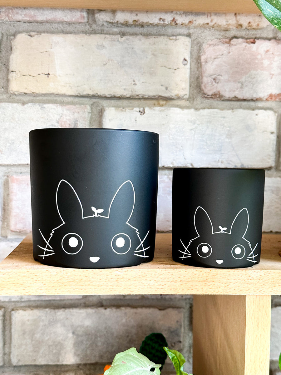 totoro plant pot Totoro Planter Pot – The Happy Plant Co