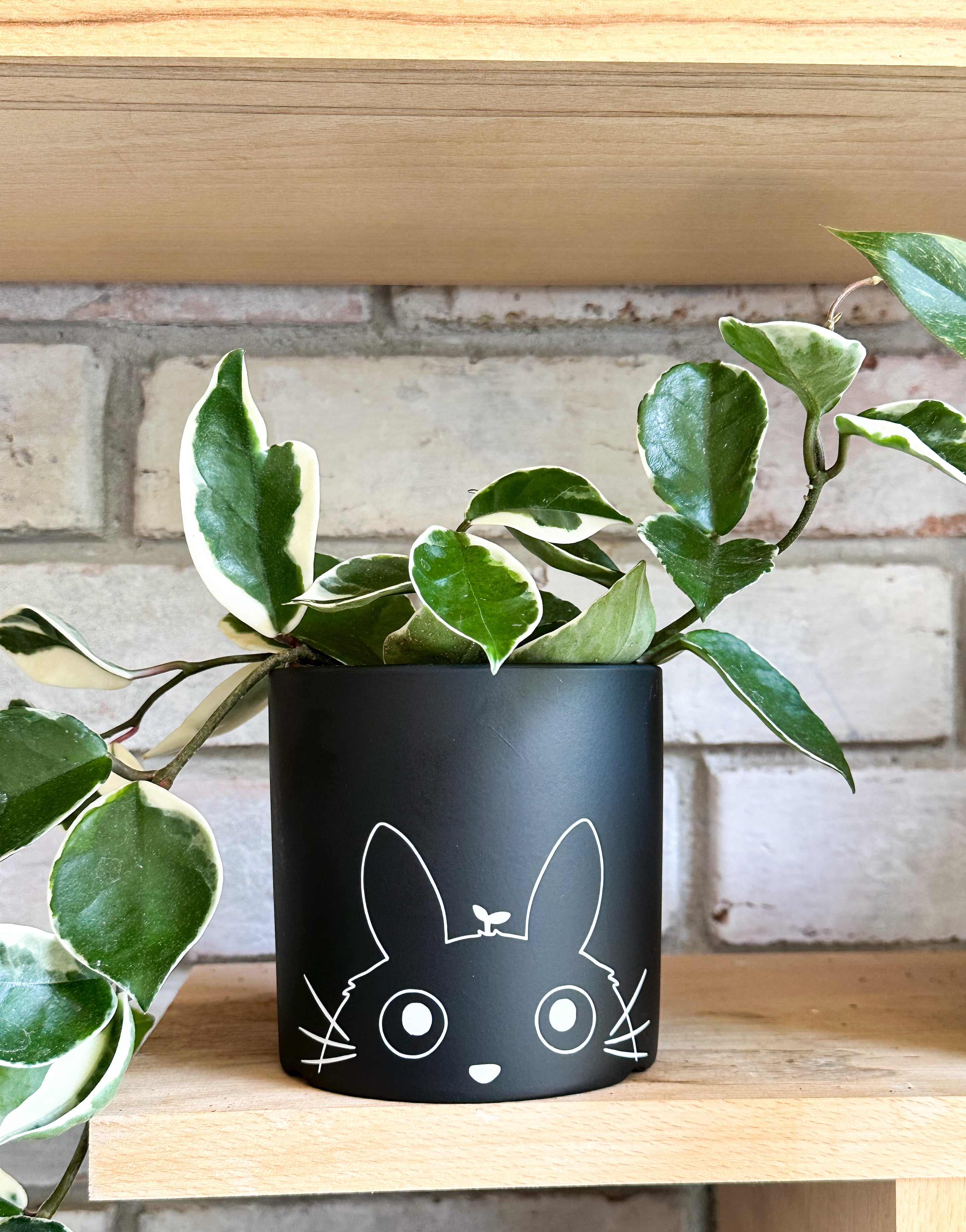 totoro succulent planter Totoro Planter Pot – The Happy Plant Co