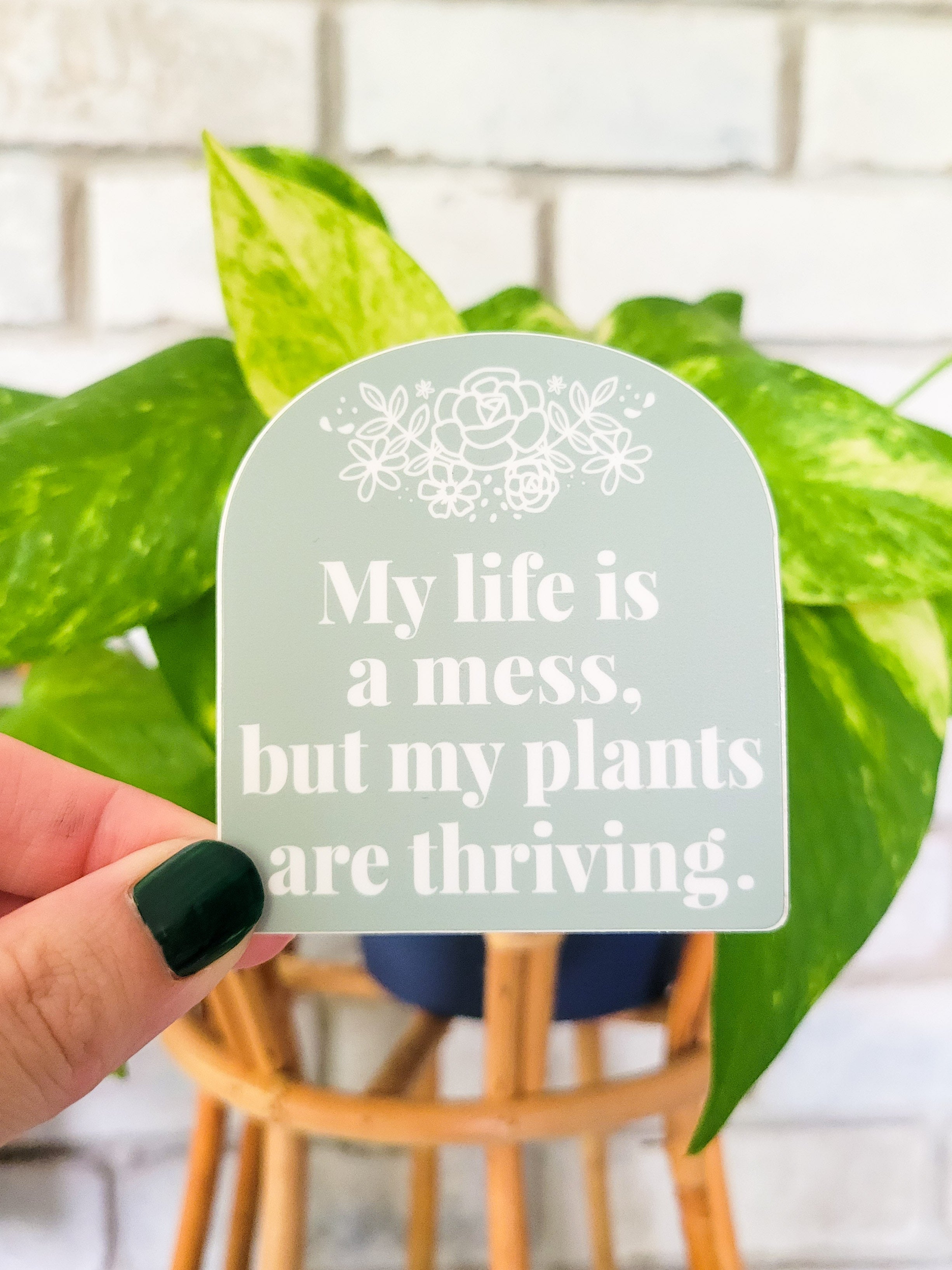 My Plants are a Mess, But my Plants are Thriving Sticker